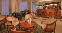 Hotel Savoy Palace - bar