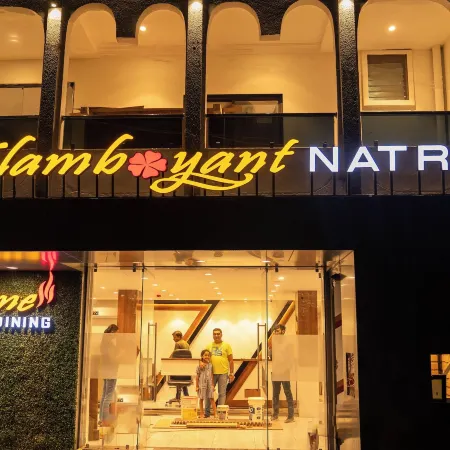 The Flamboyant Natraj