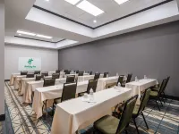 Holiday Inn & Suites 芝加哥西北 - 埃爾金 - Wi-Fi
