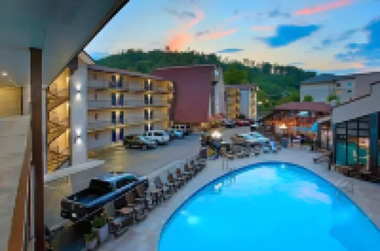 시드니 제임스 마운틴 로지