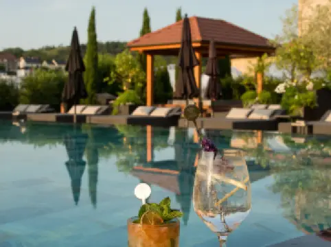 도멘 드 라 클라우스