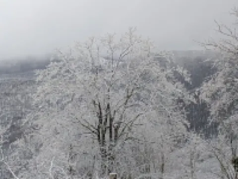 WALK TO SLOPES.  Make memories at Deerwoods, a traditional Mountain Lodge.