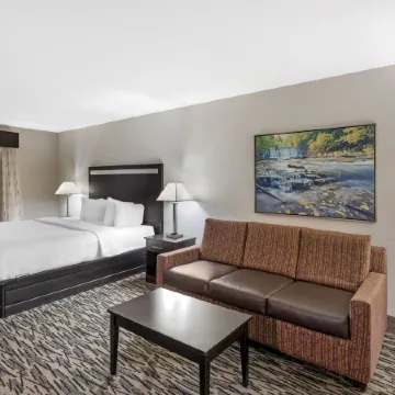 Best Western Plus McDonough Inn Suites