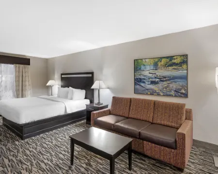 Best Western Plus McDonough Inn  Suites Hotels in Henry County