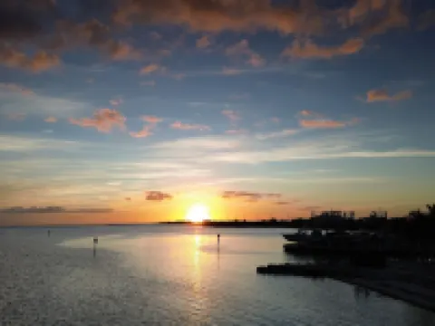 Caloosa Cove Resort by CoolVacay Hotels in Islamorada