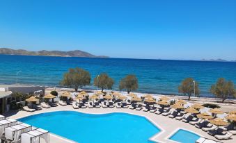 Kos Palace - Housity