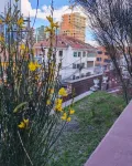 York Hostel Hotels in 