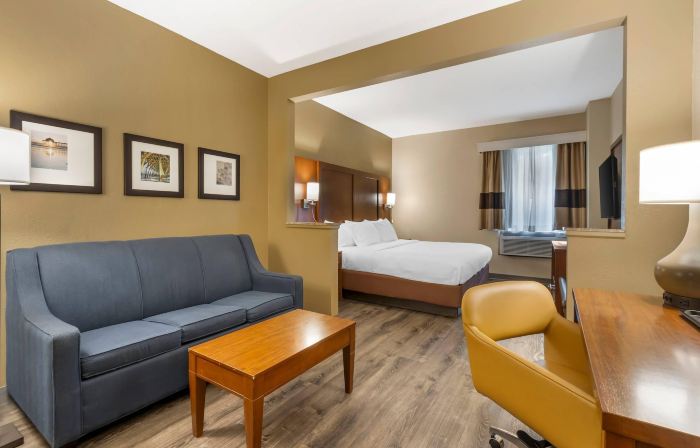 Comfort Suites at the University