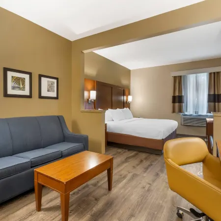 Comfort Suites at the University Отели в г. Хорри Каунти