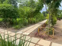Pench Kulamama Safari Resort - balcony