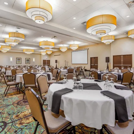 Holiday Inn & Suites EDMONTON ARPT - CONFERENCE CTR by IHG Hotele w: Nisku