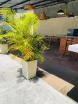 Hotel Oro VIP Pereira - 2-Star