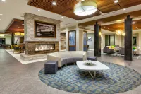 Homewood Suites by Hilton Pittsburgh-Downtown - Kitchenette