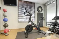 Hilton Garden Inn Dulles North - Gym