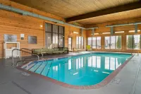 Comfort Inn & Suites Toledo North - Pet friendly