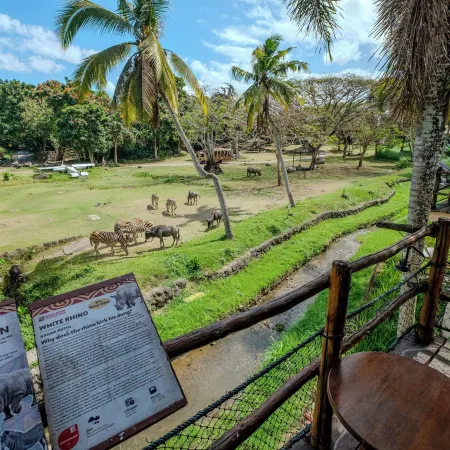 Mara River Safari Lodge Bali