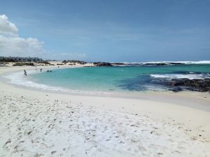 Calma Fuerteventura apartamento dentro de la playa más bonita de Fuerteventura