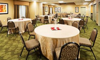 Holiday Inn Express & Suites MT. Juliet-Nashville Area