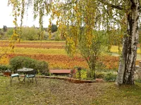 Am Weinberg