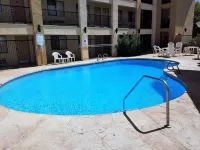 Red Roof Inn Albuquerque - Midtown - Motels