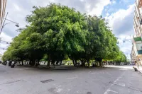 B&B Cairoli Hotels in Messina