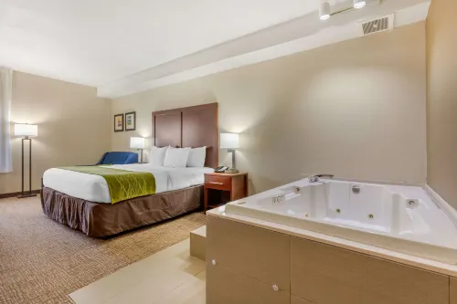 Comfort Inn Lenoir City-Knoxville Hotels in Loudon County