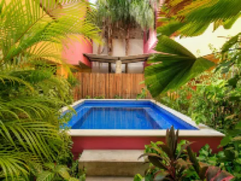 アート 57 ホテル - アダルト オンリー メリダのホテル