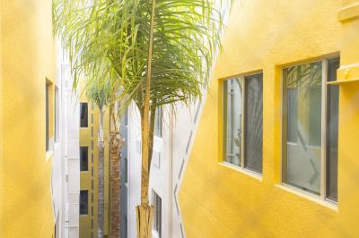 廊下 ホテル Z - ア ピース オブ パイナップル ホスピタリティの写真