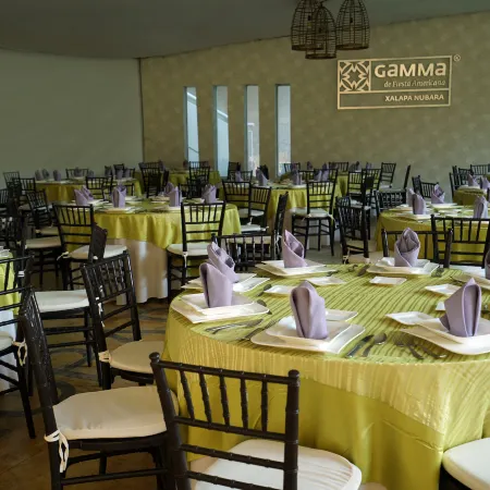 Gamma by Fiesta Americ Xalapa Nubara