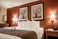 Quality Inn & Suites Отели рядом с достопримечательностью «Saskatchewan Indian Cultural Centre»