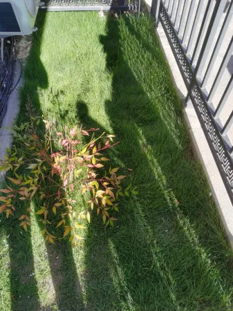 Jinlü Express Hotel Отели в г. Бейчжэнь