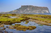 Jeju Hi Mom Kids Family Pension Black Hotels in Seogwipo-si