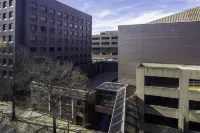 New Haven Hotel Hotels in Нью-Гейвен