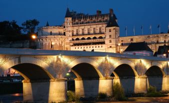 Vvf Amboise les Châteaux de la Loire