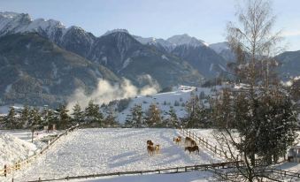 Gebhard Boutique B&B Inklusive Sommercard