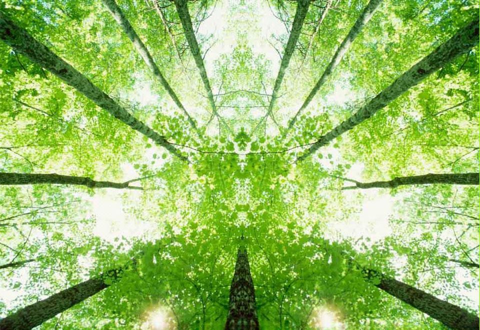 Ibis Melbourne Glen Waverley HotelOver view