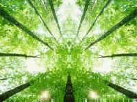 B&B HOTEL Magdeburg-Barleben Hotels in Barleben