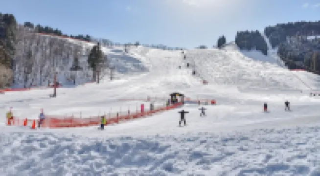 Wakasu Kogen Lodge Fujinashi Hotels in Yabu