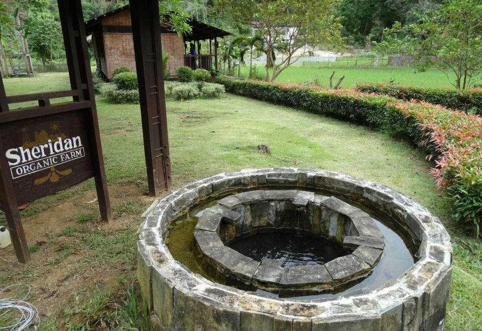 셰리든 오가닉 팜