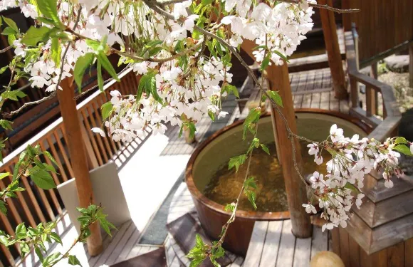 安比八幡平食宿四季館彩冬旅館