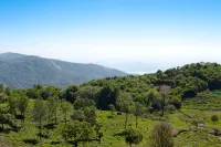 The Royale Ridge Hôtels à : Kotagiri