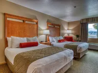 Best Western Rory  Ryan Inns Hotels in Hines
