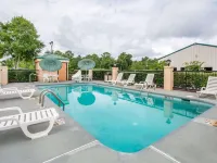 Econo Lodge Hotels in Troy