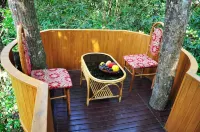 Planet Green Plantation Resorts, Wayanad, Kerala - Rooftop Pools