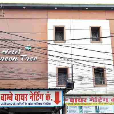 Hotel Green Tree, Raipur Hotel Exterior