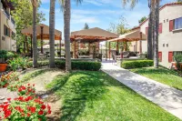 Courtyard Palo Alto Los Altos Hotels in Los Altos