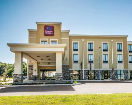 Comfort Suites Dunnellon Near Rainbow Springs Отели в г. Даннеллон
