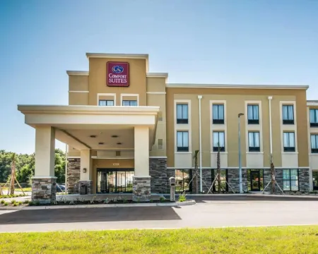 Comfort Suites Dunnellon Near Rainbow Springs Hotels in Dunnellon
