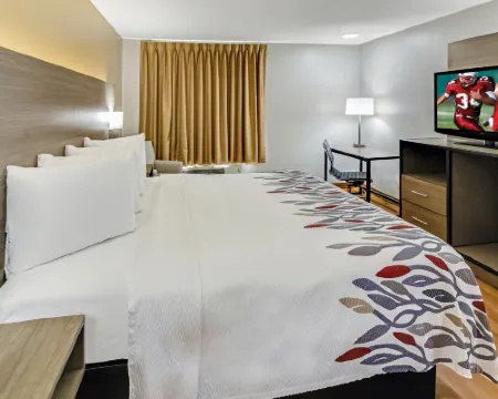 Red Roof Inn Springfield, OH Hotels in Springfield