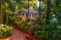 Casa Anjuna